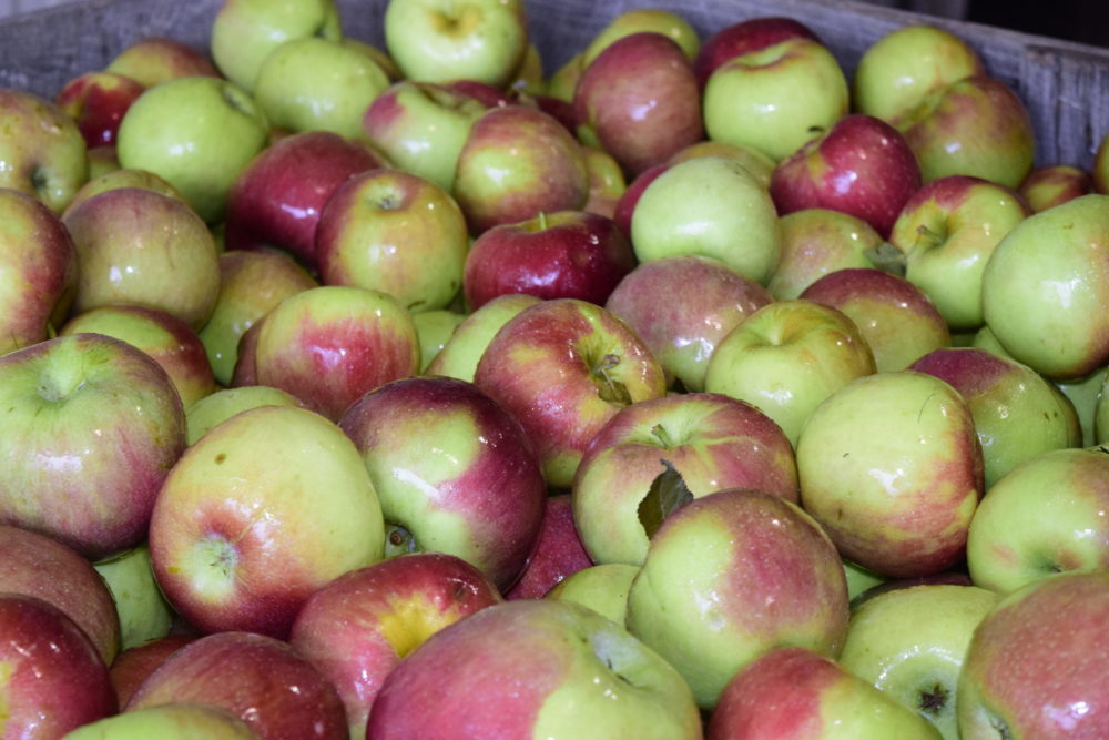 Data Key to Codling Moth Control