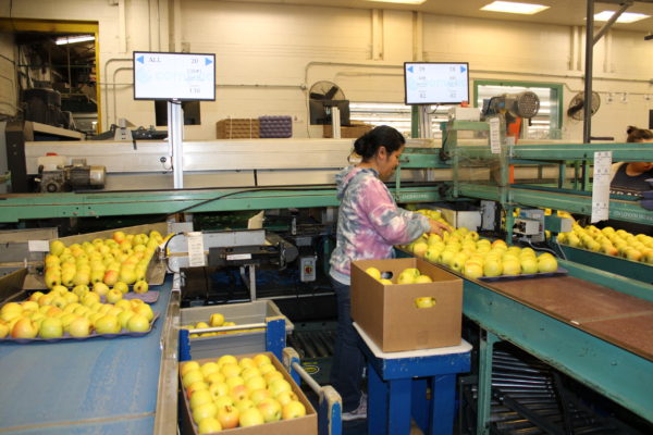 Apple packing, selling spotlighted in Mid-Atlantic convention bus tour