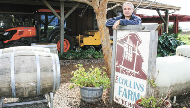 Small, beginning farmers find opportunities at Dixon Farm