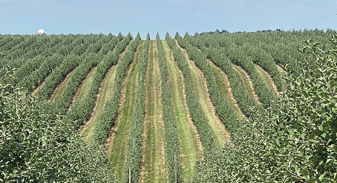 Michigan Fruit Ridge growers share strategies