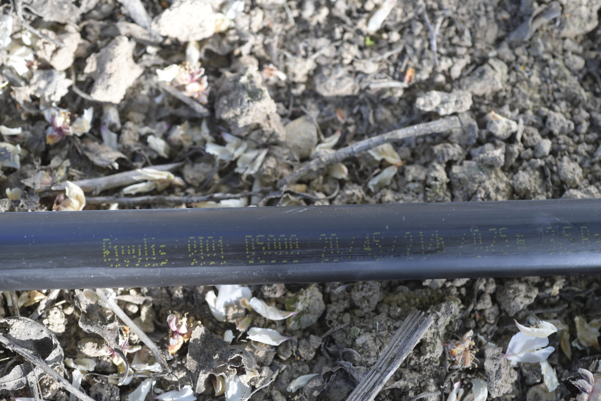 Rivulis, a micro and drip irrigation supplier, offers irrigation tips.