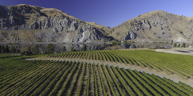 Rocky Reach is Washington’s 20th American Viticultural Area