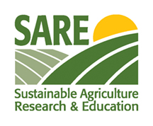 Why do you plant cover crops … or why don’t you?
