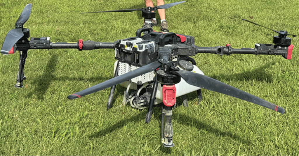 Trunk renewal essentials pruning approaches preserve cold-damaged vineyards