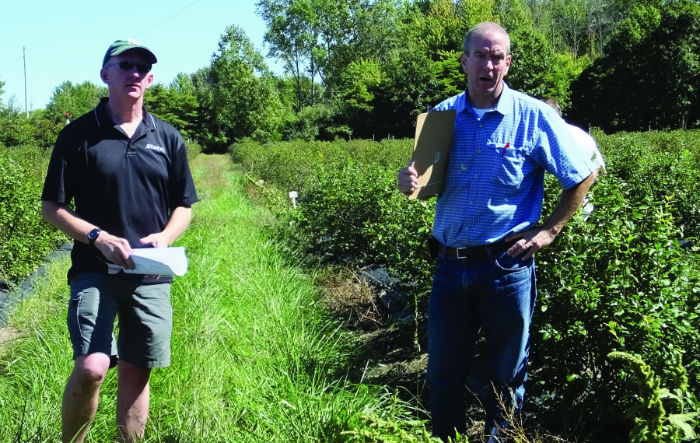 Michigan State University entomologists Rufus Isaacs, left, and John Wise discuss methods for controlling spotted wing drosophila on blueberries. Photos: Gary Pullano