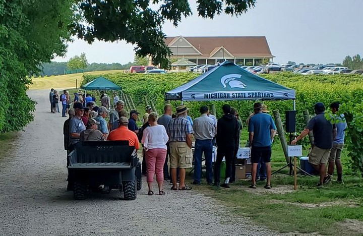 Viticulture Field Day returns to SW Michigan Research and Extension Center