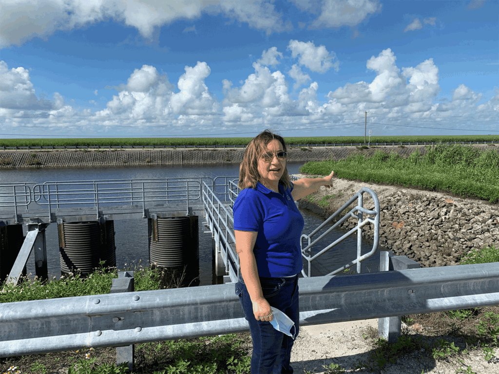 Daroub to lead UF/IFAS Everglades Research and Education Center