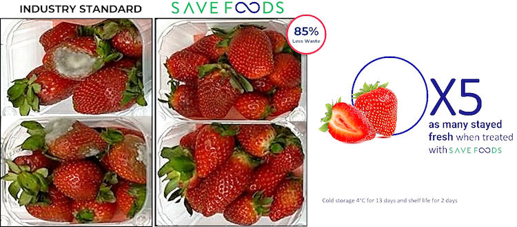 Save Foods’ latest trial boosts shelf life of strawberries