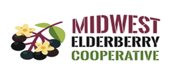 Demand growing for US elderberries, elder flowers