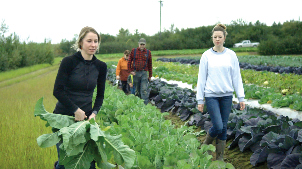 Season finale Thursday for TV series featuring Alaska growers