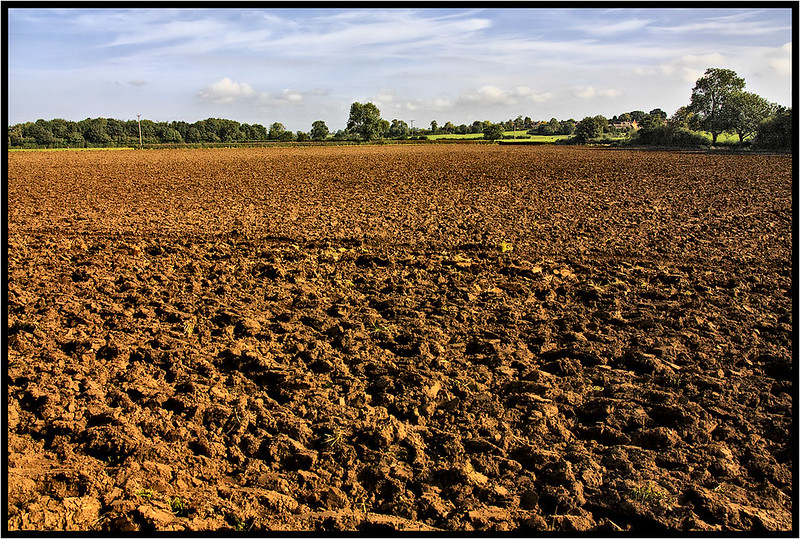 Agoro Carbon Alliance distributed over $9M to growers in first year