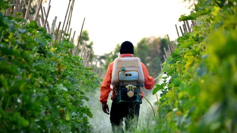 IR-4 Project backs continued neonicotinoids use in specialty crops