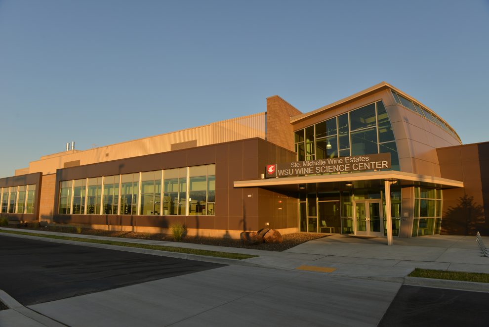 WSU searching for founding chair of new wine department