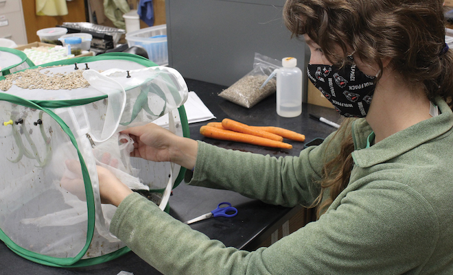 Reduced insecticide, IPM programs are key