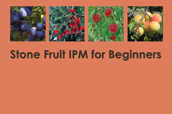 Stone fruit IPM guide for beginners available online