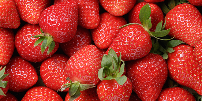 California Berry Cultivars expands variety portfolio