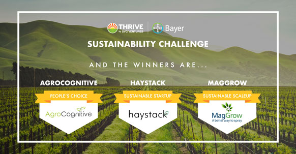 SVG Ventures|THRIVE and Bayer announce Sustainability Challenge winner