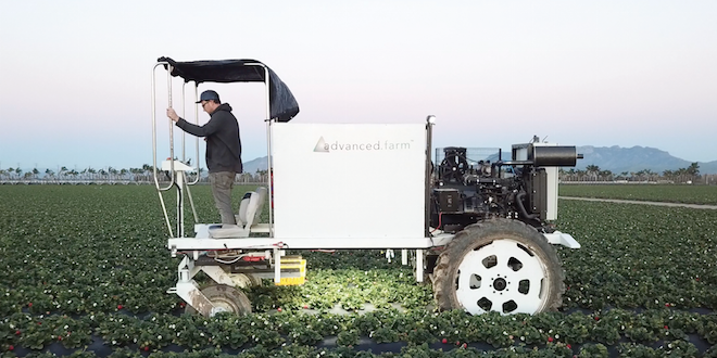 Investment, need drive in-soil strawberry harvester
