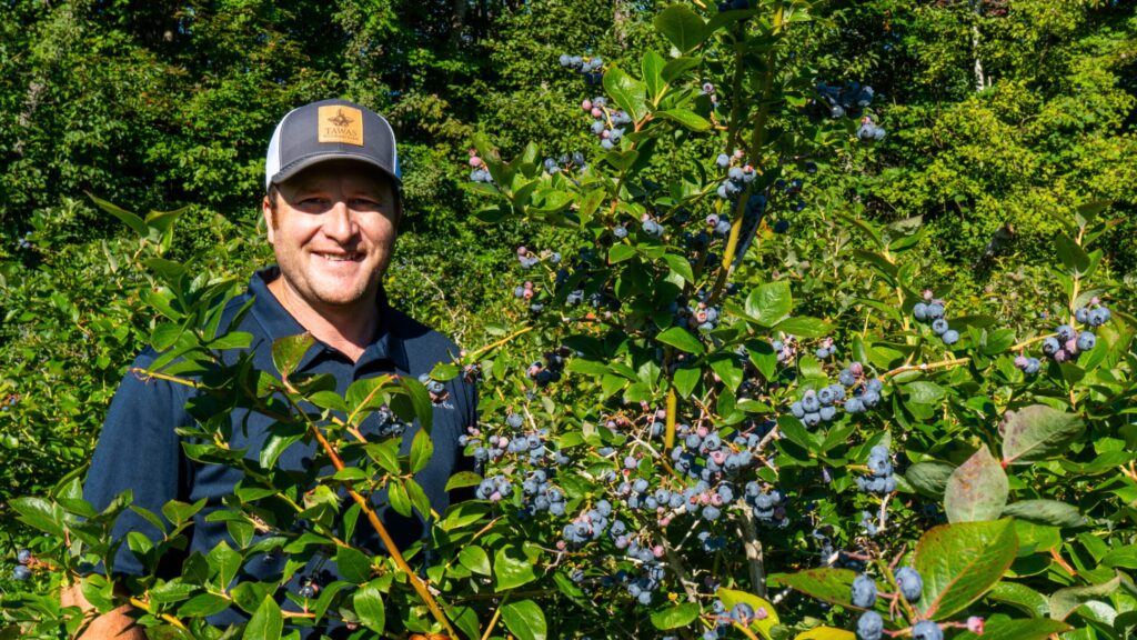 Blueberry legacy: Tawas Blueberry Farm remains a staple of its community