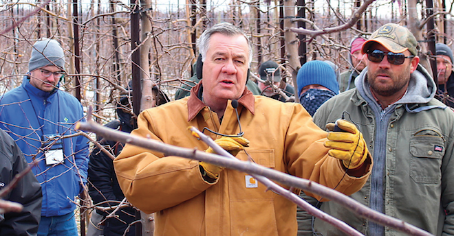 Tissue cultivation helps quick adaptation of Geneva rootstocks