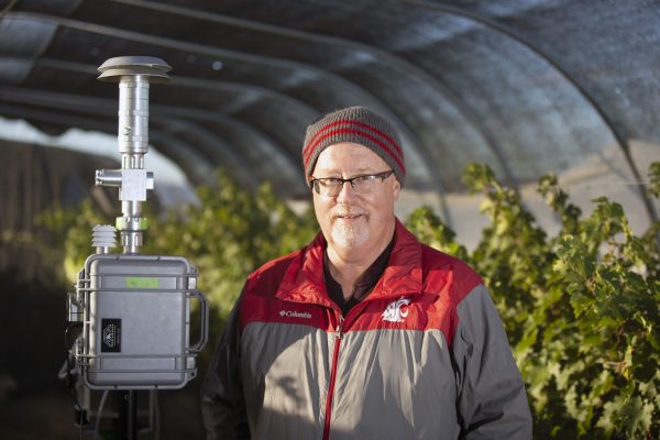 Researchers join $7.6M study on impact of smoke on grapes, wine