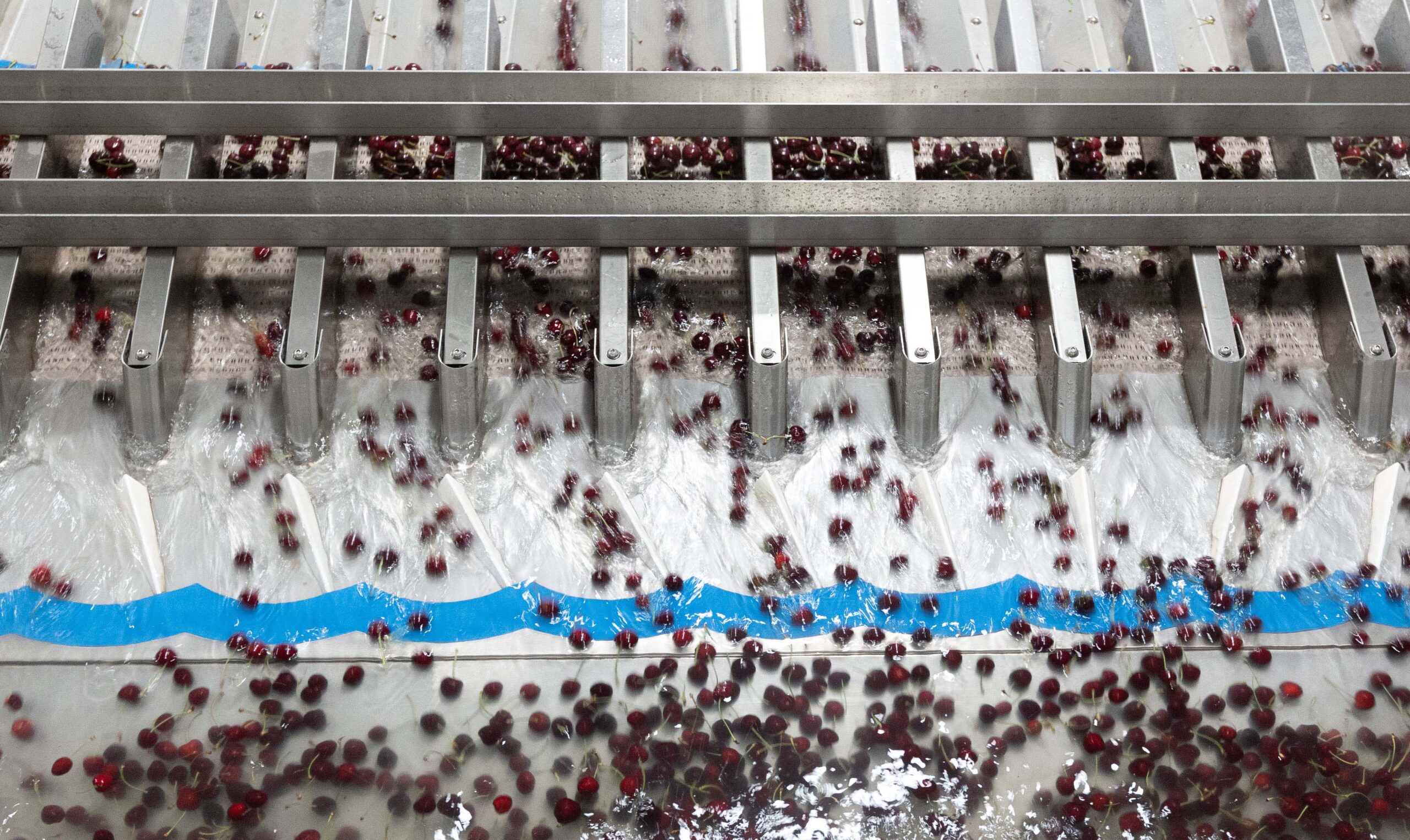 Tomra-cherries-packing