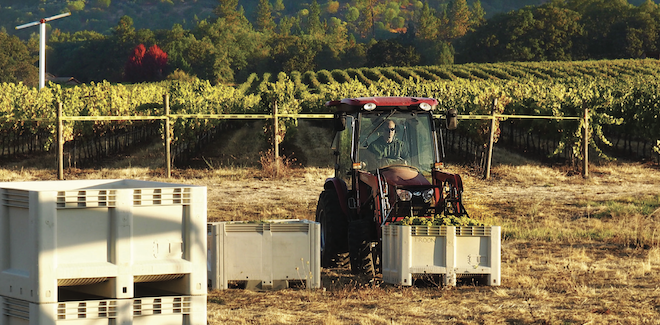 Troon Vineyard makes wine with minimalist approach