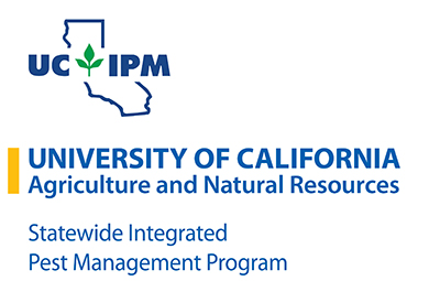 Grape powdery mildew management and challenges topic of UC webinar
