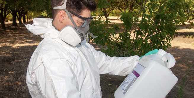 New UC ANR pesticide safety manual includes key updates