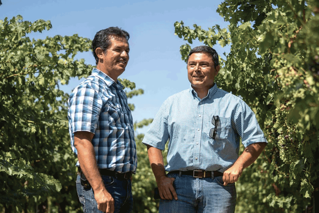 UC Davis, wine industry cultivate relationship
