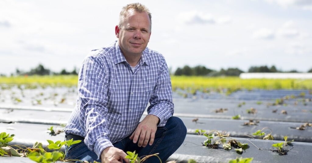 University of Florida researchers leverage AI to reduce herbicide use