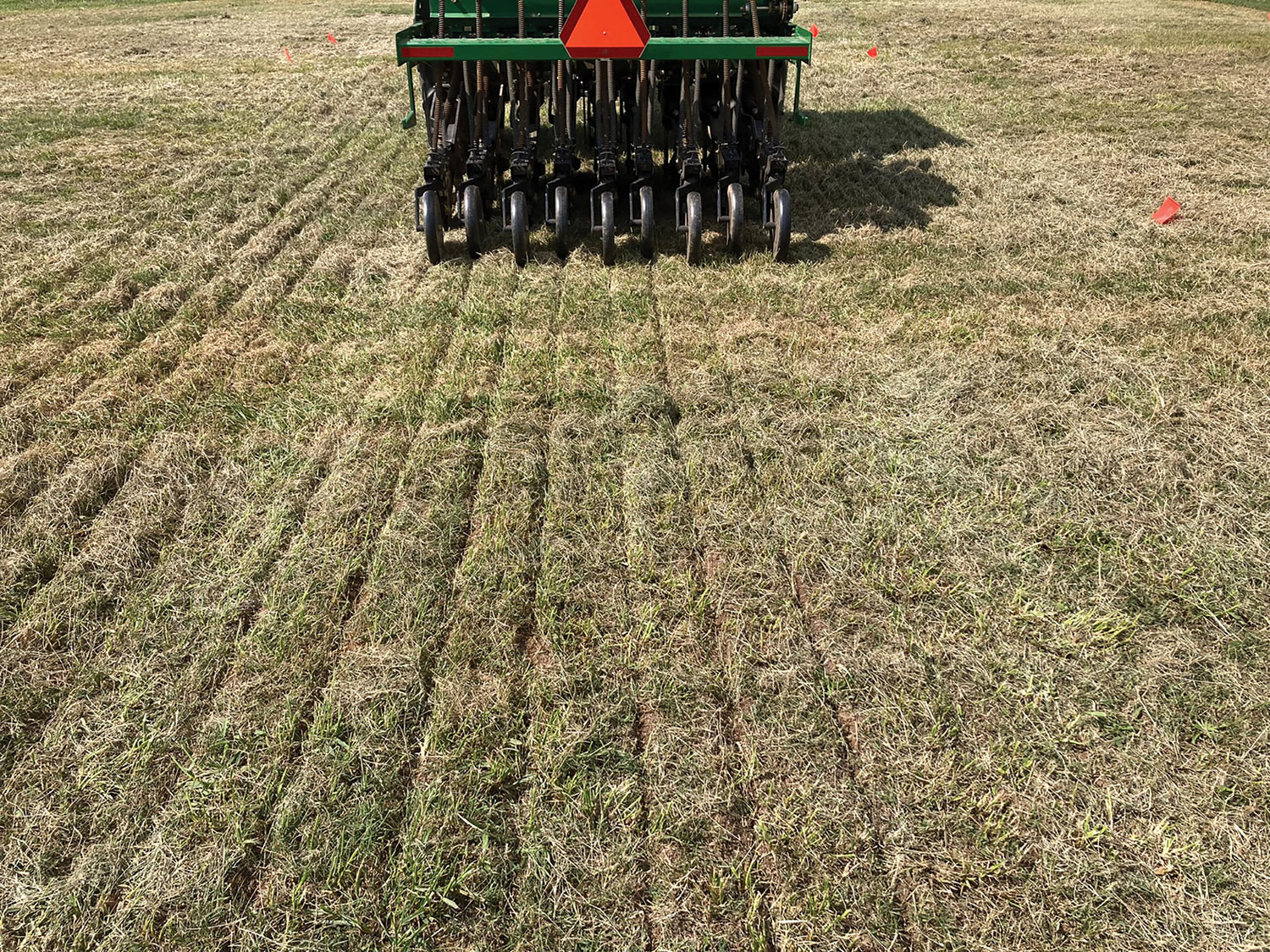UGA organic transition-cultivate