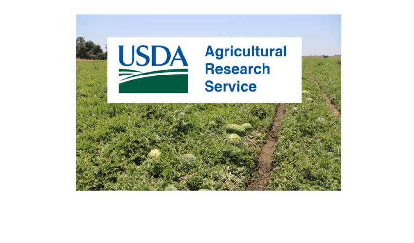 Report: USDA research suggests diverse crop rotations offer stability