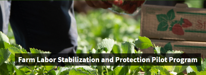 USDA pilot program to help ag employers, farmworkers