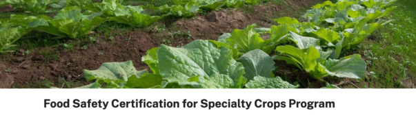 Specialty crop food safety costs to be reimbursed by USDA