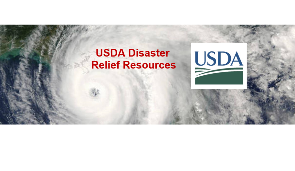 USDA releases $2 billion for specialty crops growers disaster recovery