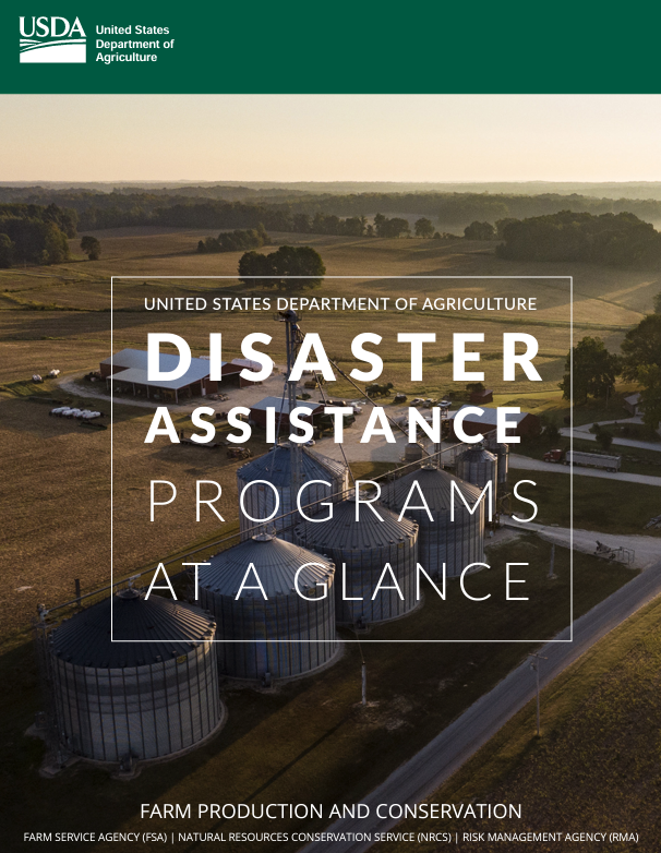 USDA disaster hurricane  relief resources 