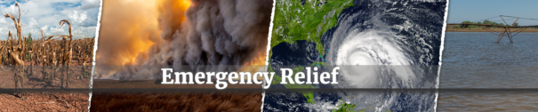 USDA releases disaster, pandemic assistance