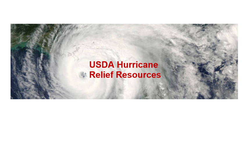 USDA offers disaster assistance for Hurricane Helene recovery
