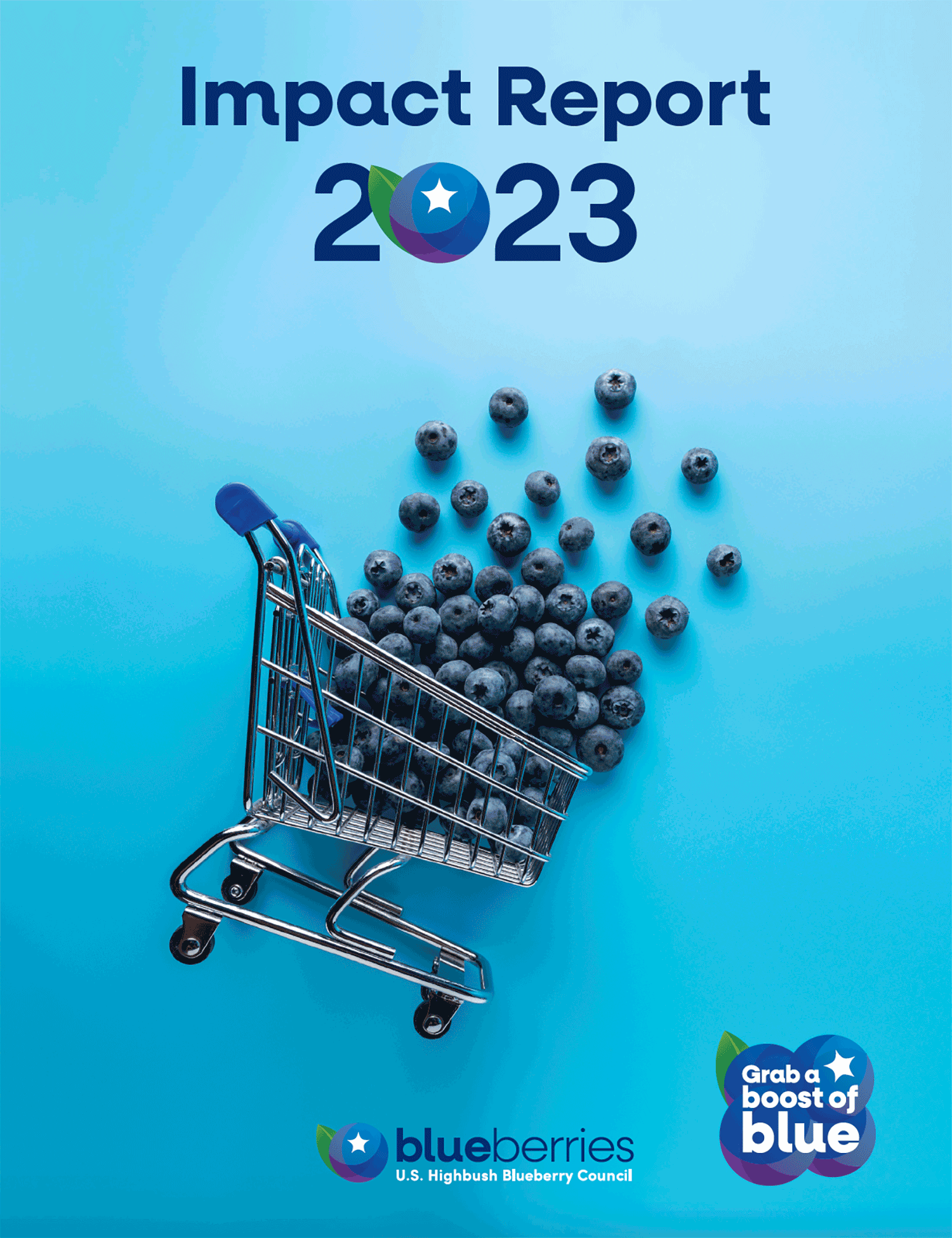 USHBC 2023 Impact Report cover image. Photo courtesy of U.S. Highbush Blueberry Council.