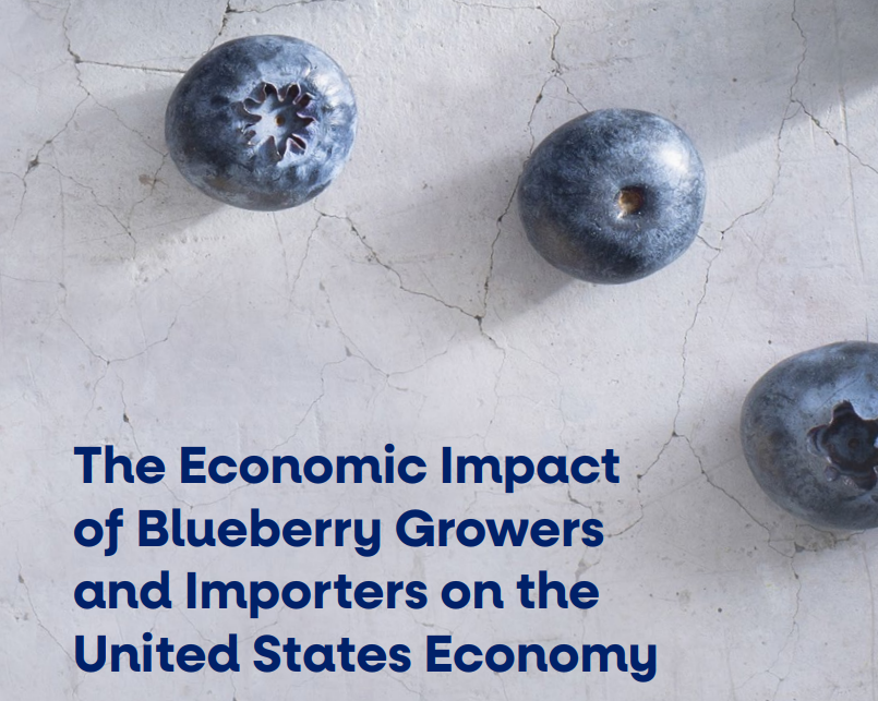 USHBC blueberry economic study graphic