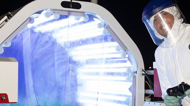UV system means ‘lights out’ for strawberry pathogen