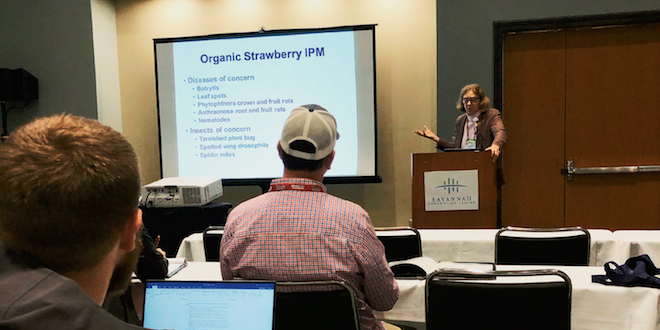 Southeast’s organic berry growers deal with diseases