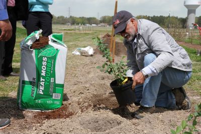 Facebook Live becomes venue for popular West Virginia blueberry event