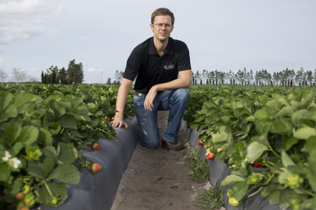 World outreach helps UF/IFAS  strawberry breeding program