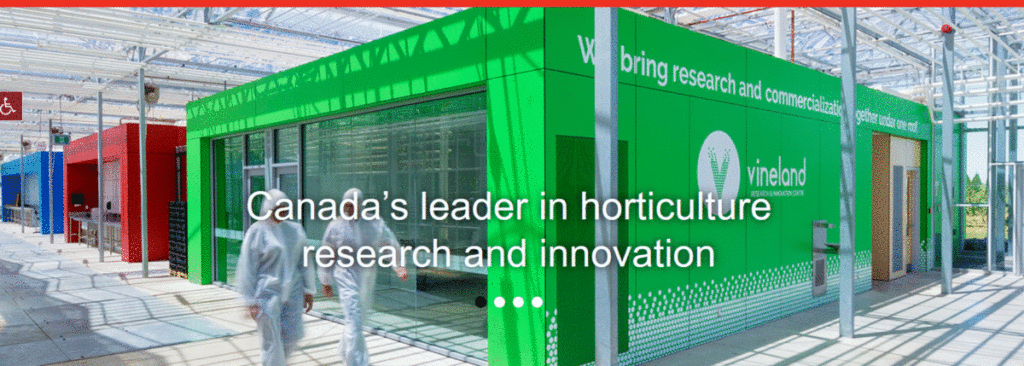 Vineland and AIGN release new Canadian apple variety