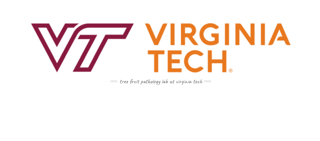 Virginia apple growers: act on fungal infections, fire blight