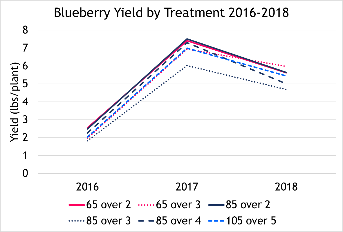 A graph illustrating Blueberry yield in pounds/plant for each N fertilization treatment over the three years of the study. There were no statistically significant differences in yield between treatments in any of the three years.