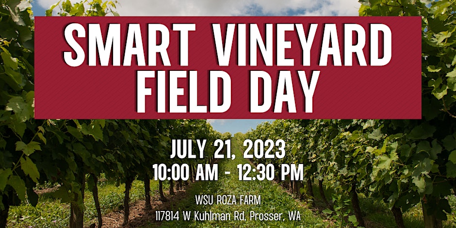 Irrigation to be focus of July 21 WSU Smart Vineyard field day