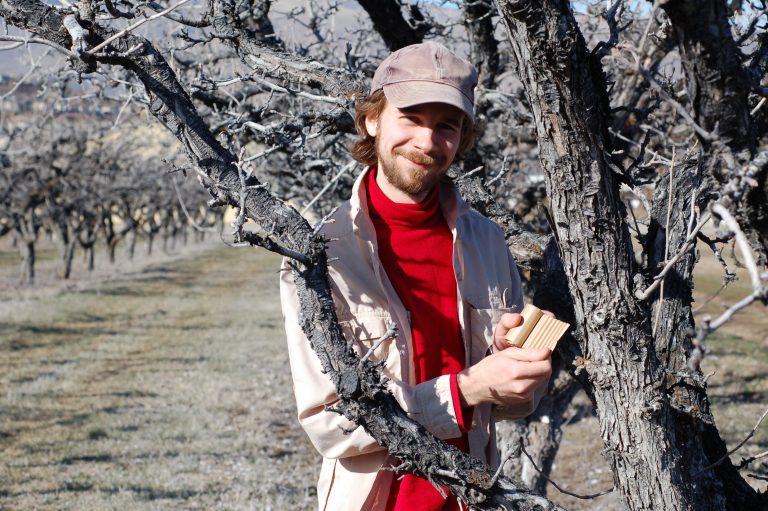 Student entomologist stalks predators to save Washington apples